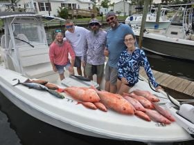 My Fishing Company - Capt. Joe