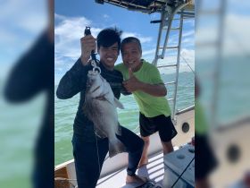 1.8kg plectorhinchus!