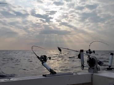 Black Shadow Guide Service