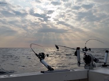 Charter Image