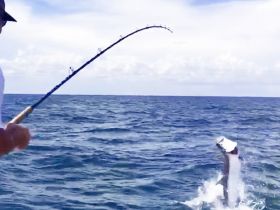 Charter Image