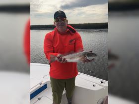 Redfish