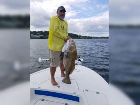 Black Drum