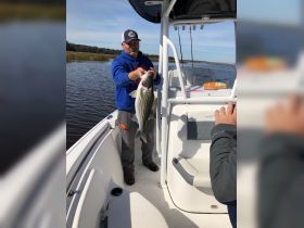 Striper