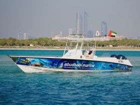 Abu Dhabi Marine Tours