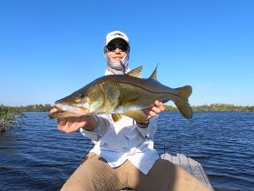 Florida On The Fly