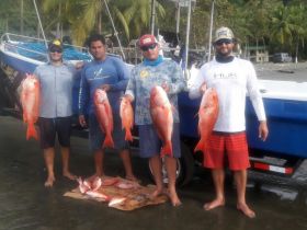Charter Image