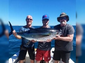 Charter Image
