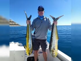 Charter Image