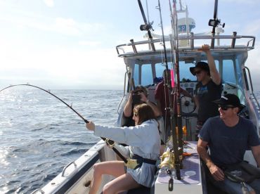 Cape Boat Charters thumbnail