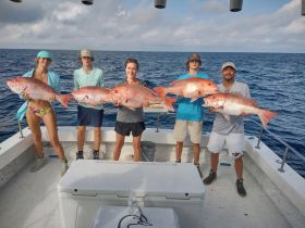 Charter Image