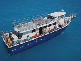 Charter Image