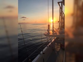 FREE SUNSET WITH EVERY NIGHT TRIP