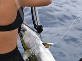 Charter Image