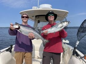 Summer on the sound