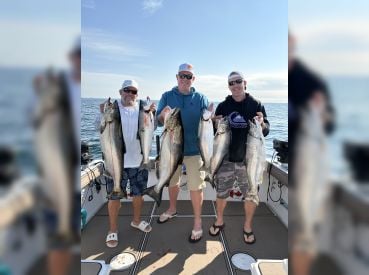 Kings Landing Sportfishing thumbnail