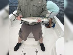 Charter Image