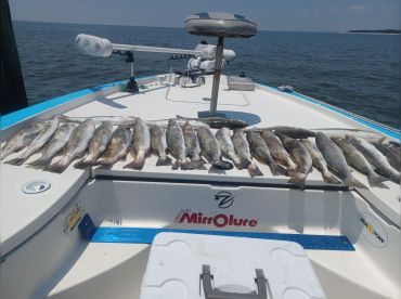 High Tide Fishing Charters – St Bernard la