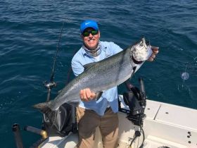 Anyone want to tangle with some big King Salmon?