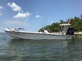 Charter Image
