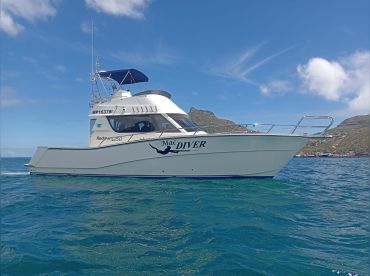 3 Hour Light tackle Seafari - thumbnail