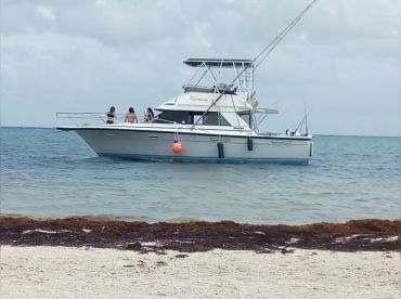 Comocean Boat thumbnail