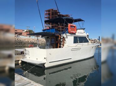 Caballo del mar—-44 thumbnail