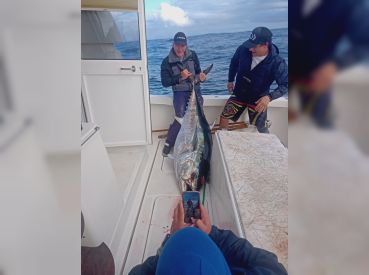 Tuna/Marlin Offshore Seafari thumbnail