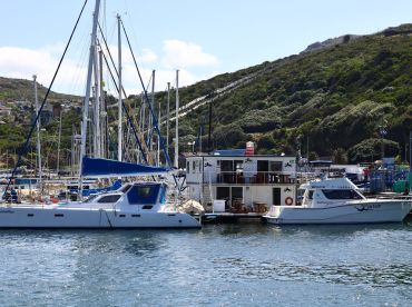 Tuna/Marlin Offshore Seafari thumbnail