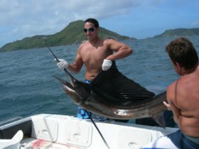 Charter Image