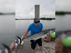 summer kingfish 