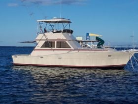 Mar-Quesa – Viking 41ft -01
