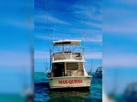 Mar-Quesa – Viking 41ft 