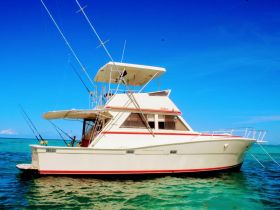 Mar-Quesa – Viking 41ft 
