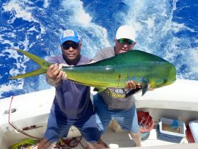 Mahi Mahi