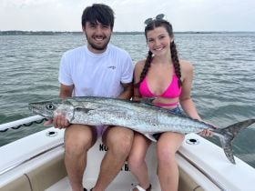 Nice King Mackerel 