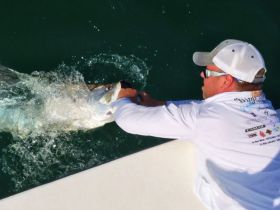 Charter Image