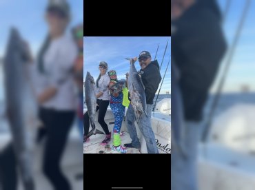 Pelican Charters – 41 Onslowbay thumbnail