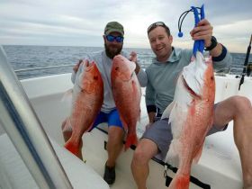 Quiet Pro-FishOn-al Charters