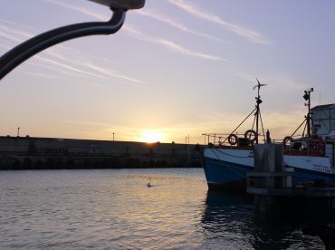 Delarey Charters