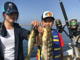 Calico Bass