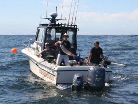 Charter Image