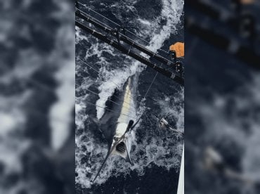 Tropical Sun Sportfishing thumbnail