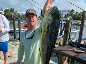 Nice Mahi Mahi