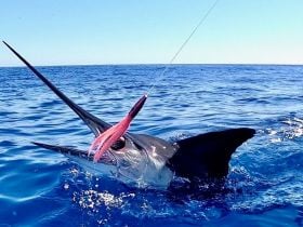Charter Image
