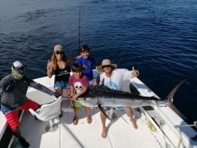 Black Marlin Sportfishing