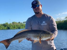 Poseidon Fishing Charters – Tampa