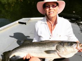 River Fishing Adventure – Lake Allatoona