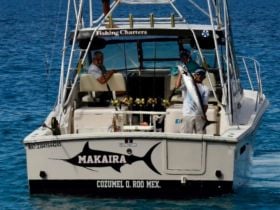 Charter Image