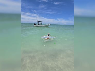 Make A Wake – Sanibel Island thumbnail